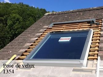 Pose de velux  1354