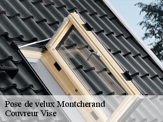 Pose de velux  1354