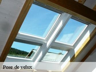 Pose de velux  1354