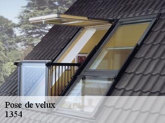 Pose de velux  1354