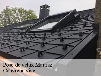 Pose de velux  mauraz-1148 Couvreur Vise