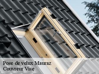 Pose de velux  1148