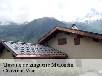 Travaux de zinguerie  molondin-1415 Couvreur Vise