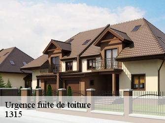 Urgence fuite de toiture  1315